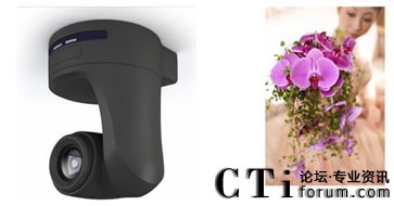 �������^���r��������